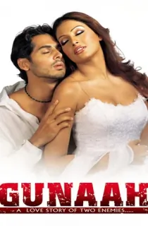 Gunaah (2002) Hindi Full Movie WEB-DL 480p | 720p | 1080p