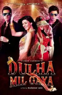 Dulha Mil Gaya (2010) BluRay Hindi Full Movie 480p | 720p | 1080p
