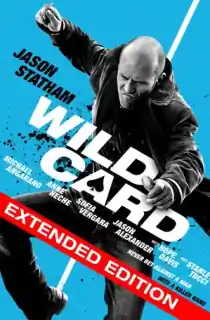Wild Card (2015) EXTENDED BluRay Dual Audio [Hindi ORG. + English] Full Movie 480p | 720p | 1080p