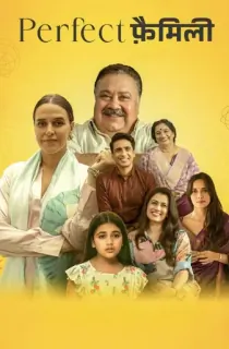 Perfect Family (2025) Season 1 Complete Hindi WEB Series 480p | 720p | 1080p WEB-DL