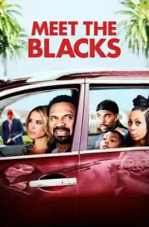 Meet the Blacks (2016) BluRay Dual Audio {Hindi-English} 480p [350MB] | 720p [800MB] | 1080p [2GB]