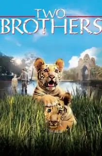 Two Brothers (2004) Dual Audio [Hindi-English] WeB-DL 480p [350MB] | 720p [1GB]