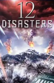 The 12 Disasters of Christmas (2012) Dual Audio {Hindi-English} 480p [300MB] | 720p [1.2GB]