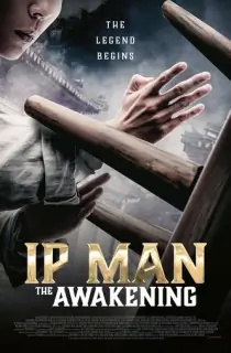 Ip Man: The Awakening (2021) BluRay Multi Audio [Hindi ORG. + English + Chinese] Full Movie 480p | 720p | 1080p
