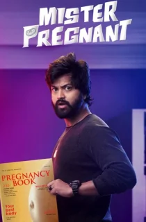 Mr. Pregnant (2023) Hindi Dubbed UNCUT WEB-DL 480p [350MB] | 720p [1GB] | 1080p [2.6GB]