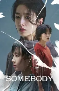Somebody (2024) WEB-DL Dual Audio [Hindi ORG. + Korean] Full Movie 480p | 720p | 1080p