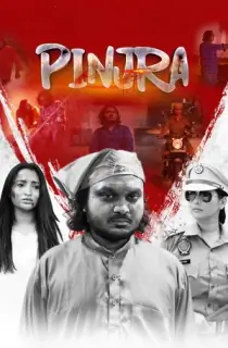 Pinjra (2025) WEB-DL Punjabi Full Movie 480p [550MB] | 720p [1.3GB] | 1080p [2.5GB]