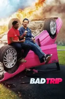 Bad Trip (2020) Dual Audio {Hindi-English} 480p [300MB] | 720p [650MB] | 1080p [1.3GB]