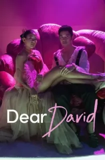 Dear David (2023) {English with Subtitles} Full Movie WEB-DL 480p [300MB] | 720p [750MB] | 1080p [1.8GB]