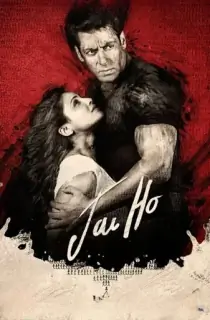 Jai Ho (2014) BluRay Hindi Full Movie 480p | 720p | 1080p