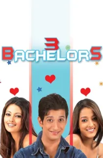 3 Bachelors (2012) WEB-DL Hindi Full Movie 480p | 720p | 1080p