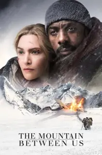 The Mountain Between Us (2017) BluRay Dual Audio [Hindi ORG. + English] Full Movie 480p | 720p | 1080p