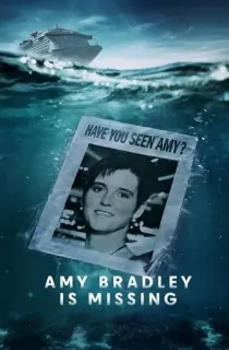Amy Bradley Is Missing (2025) Season 1 Dual Audio [Hindi ORG. + English] Complete Netflix WEB Series 720p | 1080p WEB-DL