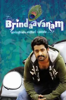 The Super Khiladi – Brindavanam (2010) BluRay Dual Audio [Hindi ORG. + Telugu] Full Movie 480p | 720p | 1080p