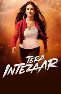 Tera Intezaar (2017) WEB-DL Hindi Full Movie 480p | 720p | 1080p