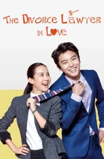 Divorce Lawyer in Love (2015) Season 1 Complete Hindi Dubbed (ORG) Korean Drama Series 720p | 1080p WEB-DL