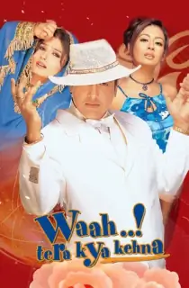 Waah! Tera Kya Kehna (2002) Hindi Full Movie WEB-DL 480p | 720p | 1080p
