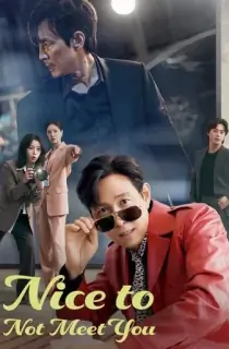 Nice to Not Meet You (2025) Season 1 Multi Audio [Hindi ORG. + English + Korean] Complete Amazon Prime WEB Series 480p | 720p | 1080p WEB-DL