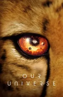 Our Universe (Season 1) Dual Audio {Hindi-English} With Esubs WeB- DL 720p 10Bit [400MB] || 1080p [700MB]