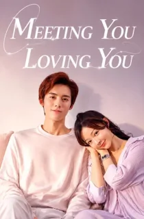 Meeting You Loving You (2021) Season 1 [Hindi ORG. Dubbed] Complete C-Drama WEB Series 720p | 1080p WEB-DL