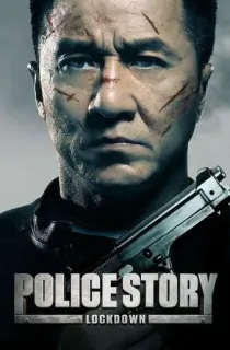 Police Story: Lockdown (2013) BluRay Dual Audio {Hindi-English} 480p [400MB] | 720p [1.2GB] | 1080p [2.2GB]