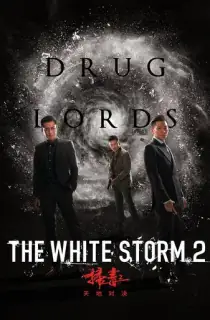 The White Storm 2: Drug Lords (2019) BluRay Dual Audio [Hindi ORG. + Chinese] Full Movie 480p [300MB] | 720p [950MB] | 1080p [2GB]