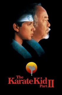 The Karate Kid Part II (1986) BluRay Multi Audio [Hindi ORG. + English + Tamil + Telugu] Full Movie 480p [600MB] | 720p [1GB] | 1080p [1.8GB]