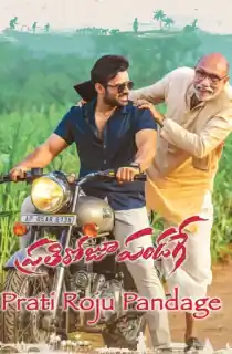 Prati Roju Pandaage (2019) WEB-DL Dual Audio [Hindi ORG. + Telugu] Full Movie 480p | 720p | 1080p