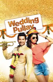 Wedding Pullav (2015) WEB-DL Hindi Full Movie 480p | 720p | 1080p