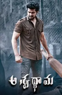 Aswathama (2020) WEB-DL Dual Audio [Hindi ORG. + Telugu] Full Movie 480p [450MB] | 720p [1.2GB] | 1080p [2.7GB]
