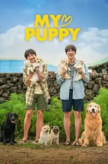 My Heart Puppy (2023) Dual Audio [Hindi + Korean] WeB-DL 480p [350MB] | 720p [1GB] | 1080p [2.2GB]