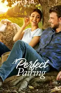 A Perfect Pairing (2022) Dual Audio {Hindi-English} 480p [400MB] | 720p [920MB] | 1080p [2GB]