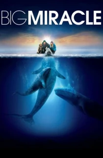 Big Miracle (2012) Dual Audio {Hindi-English} 480p [500MB] | 720p [1GB] | 1080p [2GB]