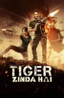 Tiger Zinda Hai (2017) BluRay Hindi Full Movie 480p | 720p | 1080p