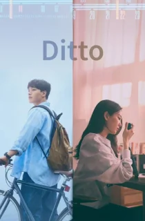 Ditto (2022) WEB-DL Multi Audio [Hindi ORG. + Korean + Tamil + Telugu] 480p [550MB] | 720p [1GB] | 1080p [2.1GB]