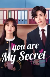 You Are My Secret (2024) Season 1 [Hindi ORG. Dubbed] Complete C-Drama WEB Series 720p | 1080p WEB-DL