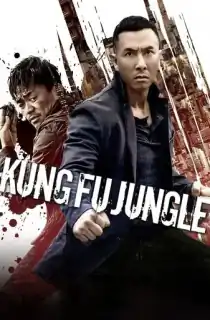 Kung Fu Jungle (2014) BluRay Dual Audio {Hindi-Chinese} 480p [400MB] | 720p [950MB] | 1080p [2GB]