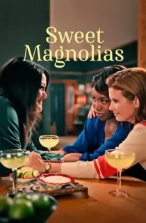 Sweet Magnolias (Season 1 – 3) {English With Subtitles} WeB-DL 720p [400MB] || 1080p [920MB]
