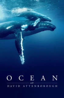 Ocean with David Attenborough (2025) Multi Audio [Hindi ORG. + English + Tamil + Telugu] Full Movie WEB-DL 480p [350MB] | 720p [500MB] | 1080p [850MB]