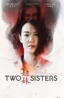 Two Sisters (2019) WEB-DL Multi Audio [Hindi ORG. + Chinese + Tamil + Telugu] Full Movie 480p [500MB] | 720p [1GB] | 1080p [2GB]