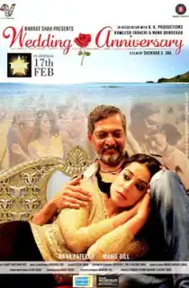 Wedding Anniversary (2017) WEB-DL Hindi Full Movie 480p | 720p | 1080p