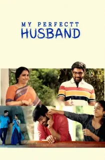My Perfectt Husband (2024) Hindi Season 1 Complete Hotstar Special WEB Series 480p | 720p | 1080p WEB-DL