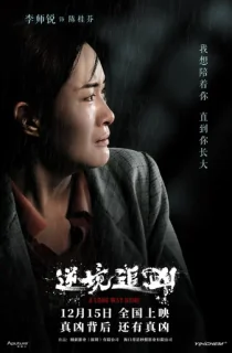 Ni Jing Zhui Xiong (2023) WEB-DL Dual Audio [Hindi ORG. + Chinese] Full Movie 480p | 720p | 1080p