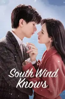 South Wind Knows (2023) Season 1 [Hindi ORG. Dubbed] Complete C-Drama WEB Series 720p | 1080p WEB-DL