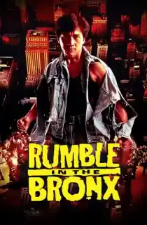 Rumble in the Bronx (1995) BluRay Dual Audio [Hindi ORG. + English] Full Movie 480p | 720p | 1080p