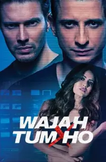 Wajah Tum Ho (2016) WEB-DL Hindi Full Movie 480p | 720p | 1080p