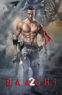 Baaghi 2 (2018) WEB-DL Hindi Full Movie 480p [550MB] | 720p [1.4GB] | 1080p [3.5GB]