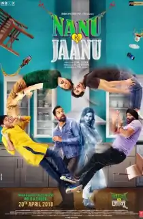 Nanu Ki Jaanu (2018) WEB-DL Hindi Full Movie 480p | 720p | 1080p