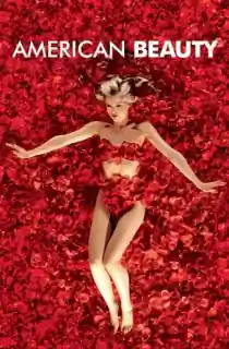 [18+] American Beauty (1999) BluRay Dual Audio [Hindi ORG. + English] Full Movie 480p [400MB] | 720p [1.2GB] | 1080p [2.5GB]