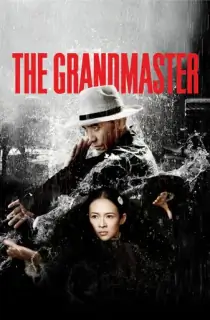 The Grandmaster (2013) BluRay Dual Audio [Hindi ORG. + Chinese] Full Movie 480p | 720p | 1080p